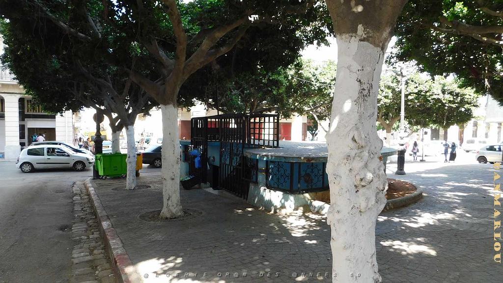 VOYAGE EN ORANIE DU 15 AU 22 SEPTEMBRE 2017 (230).JPG -           